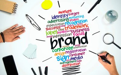 Unveiling the Power of Brand Design